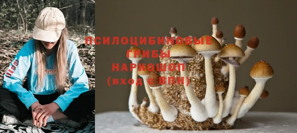 крисы Краснотурьинск