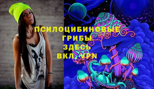ПСИЛОЦИБИНОВЫЕ ГРИБЫ Кулебаки