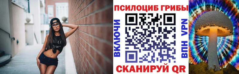 Галлюциногенные грибы Cubensis Дудинка