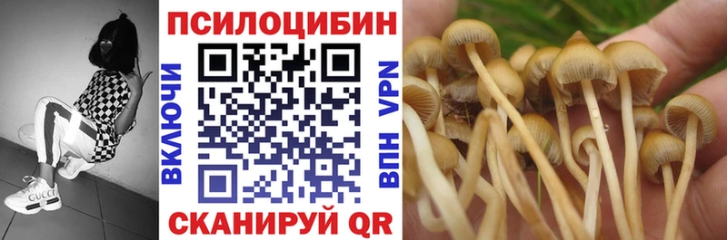 Купить  Дудинка  Галлюциногенные грибы MAGIC MUSHROOMS 